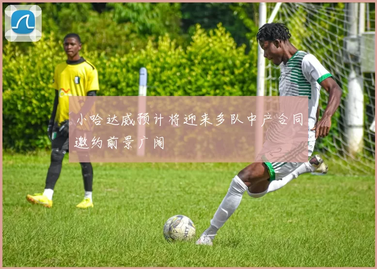 小哈达威预计将迎来多队中产合同邀约前景广阔